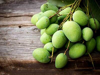 RAW MANGOES