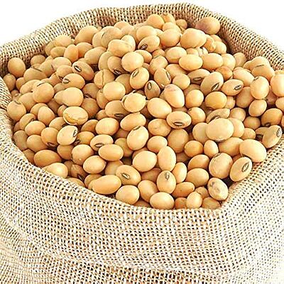 Soyabean Dal
