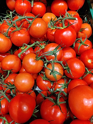 Tomato