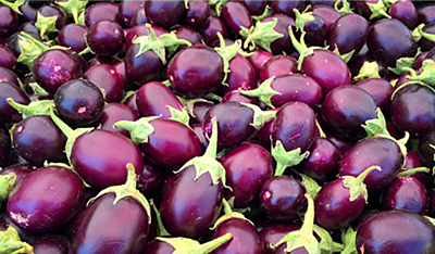 BRINJAL