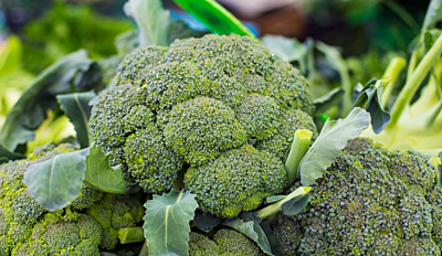 BROCCOLI