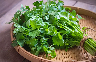 DHANIYA GREENS LEAVES