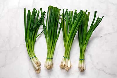 GREEN ONION