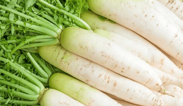 MOOLI