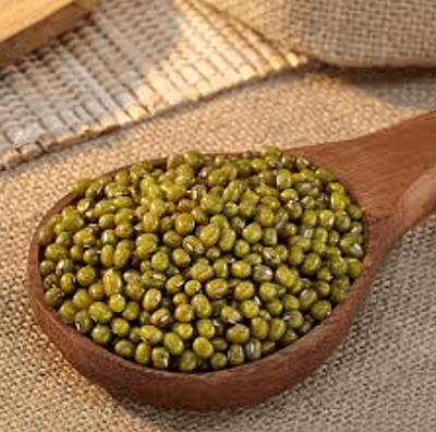 MOONG SABOOT
