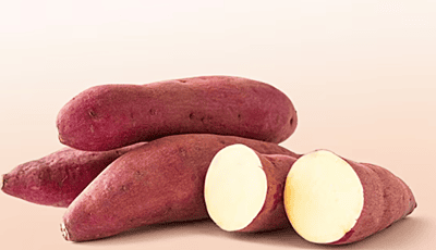 SWEET POTATO