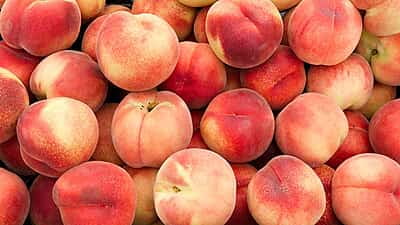 Peaches
